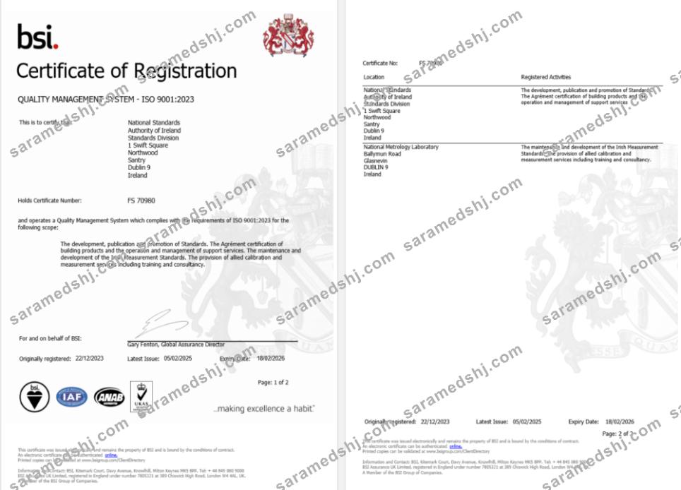 Ireland Dublin BSI certificate of registration Word and PDF template